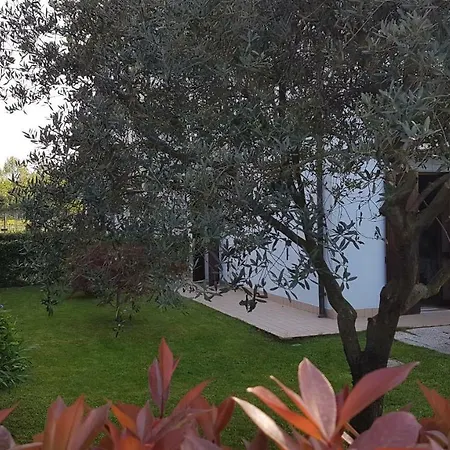 Villacolle Apartmán *
